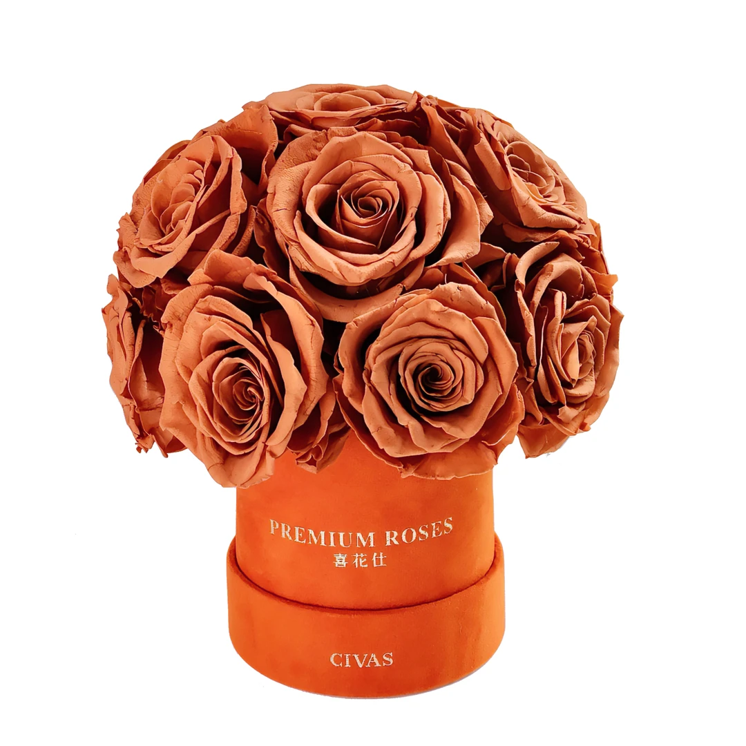 CIVAS喜花仕 永生玫瑰花桶 - 气质橘
