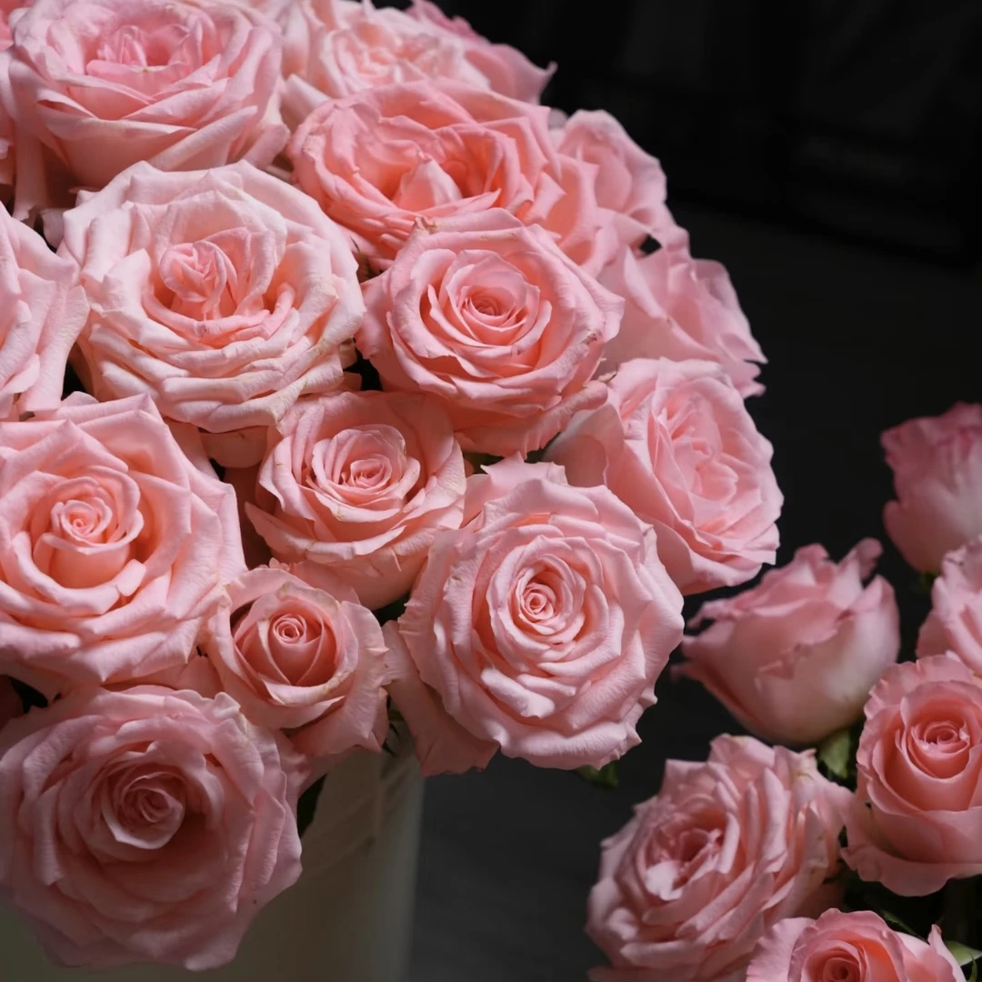 （小北专属）粉玫瑰洋桔梗风铃组合 【同地址两单京东或顺丰】