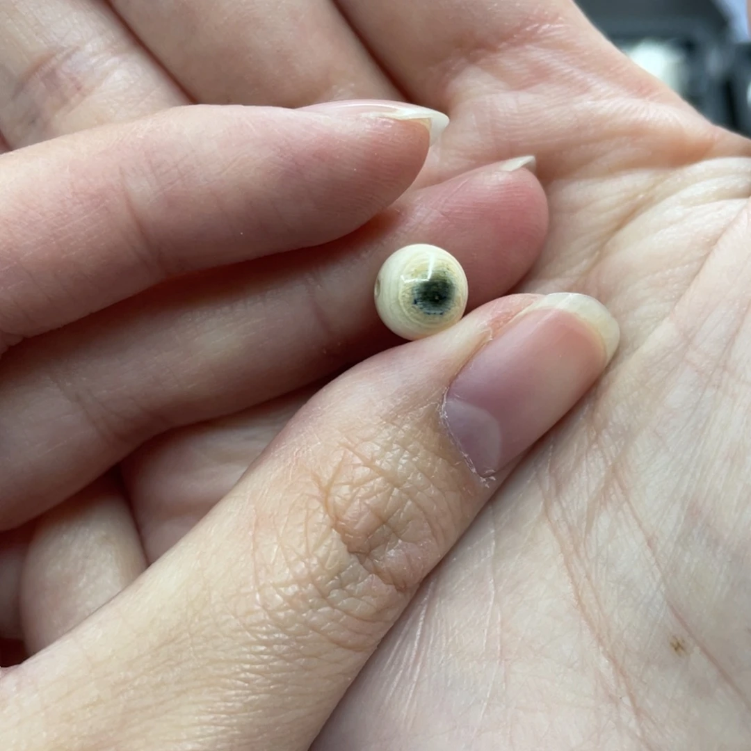 小****手串/手链/手镯猛犸象牙0.8单珠