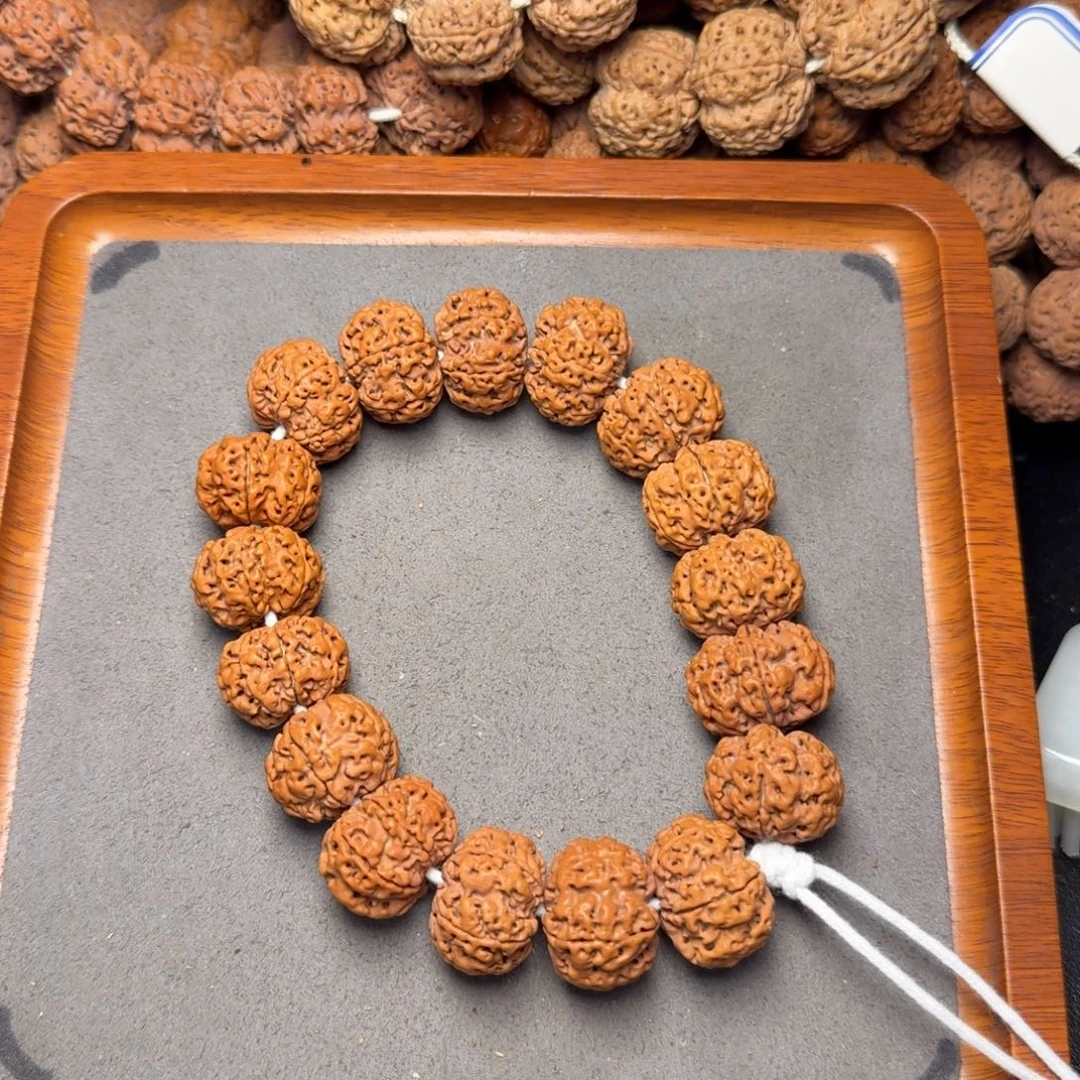 8号尼泊尔大金刚六瓣22原生态梅花