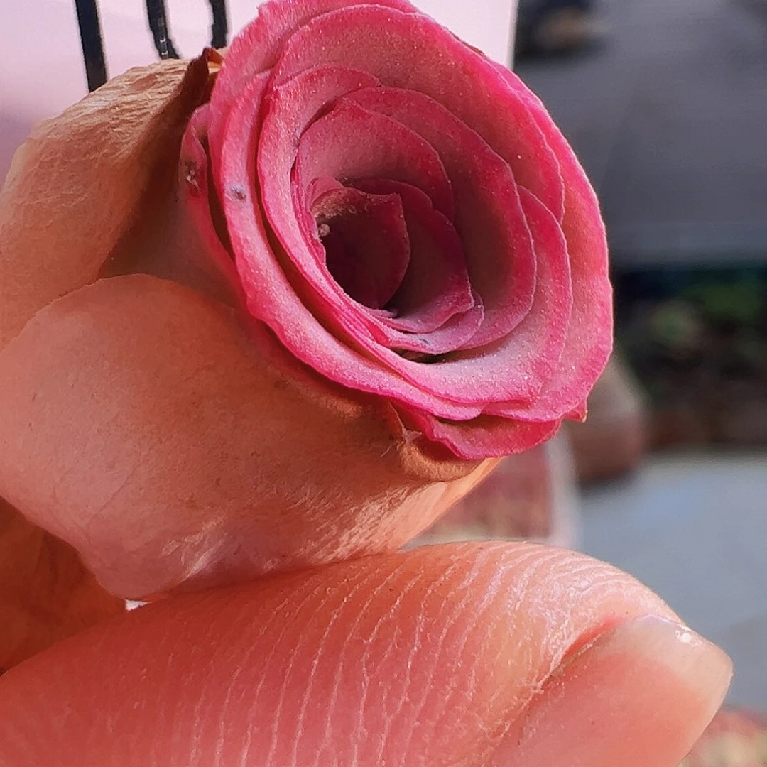 球****福袋 福袋。TT035