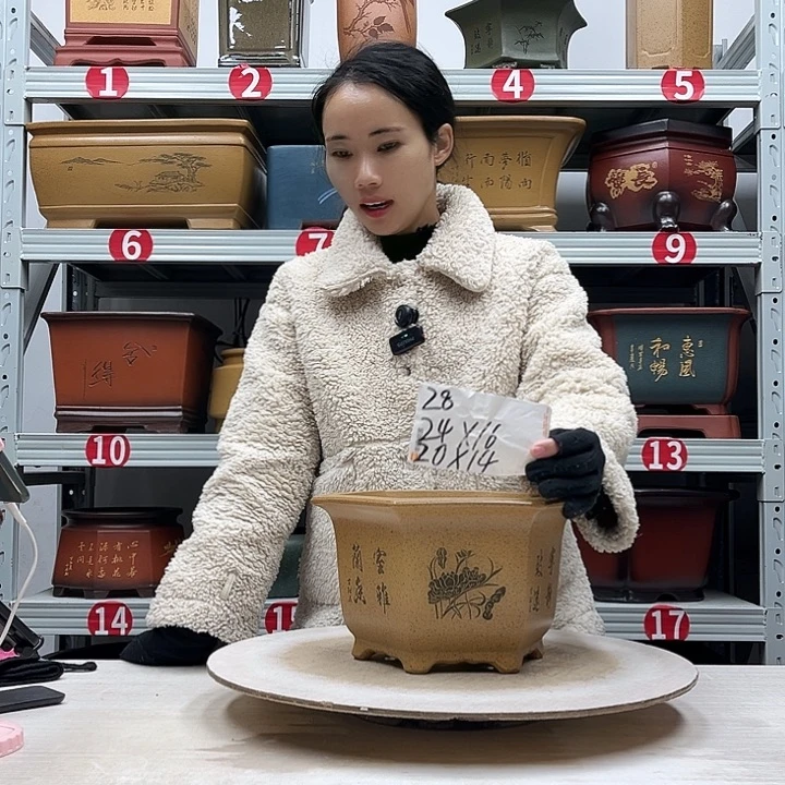 紫砂花盆紫砂花盆