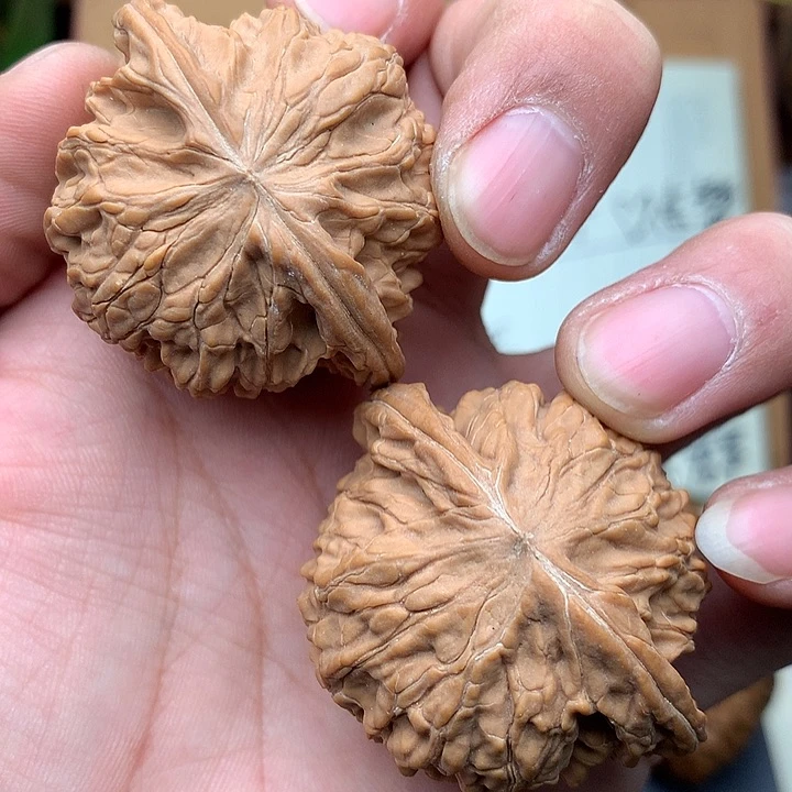 桃核把件文玩核桃/蝴蝶磨43+