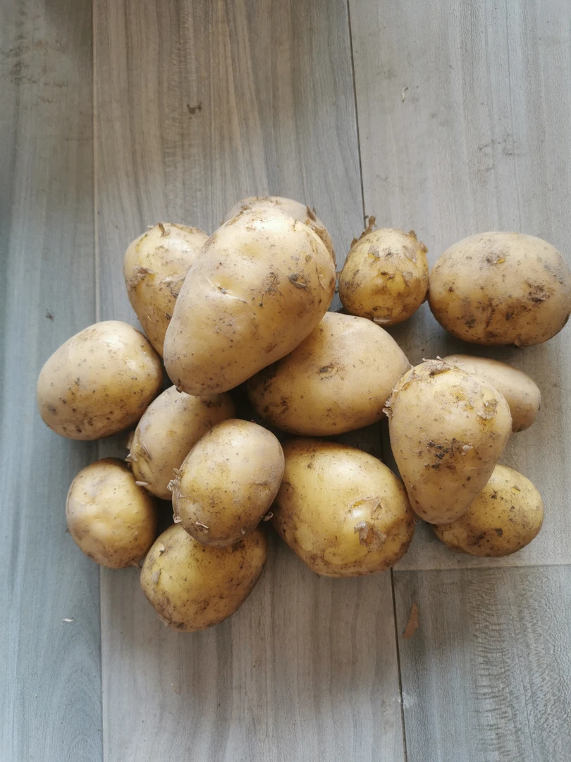 农家自留土种 土豆 洋芋头马铃薯 花生芋 散装