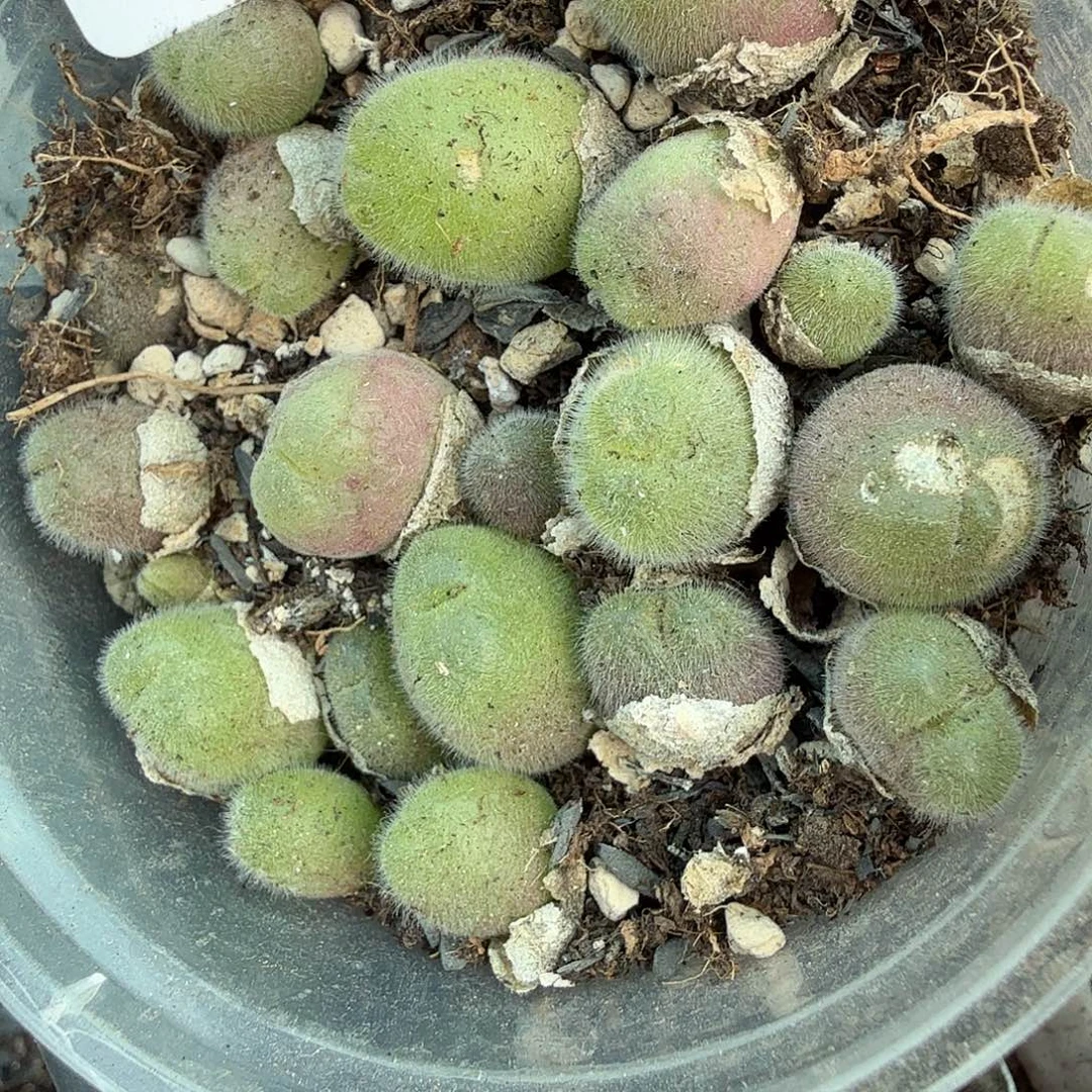 这个点睡一回儿504是