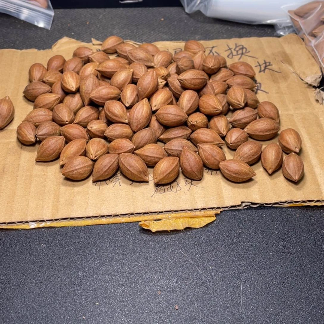 晓****芦q w er ty uu ii