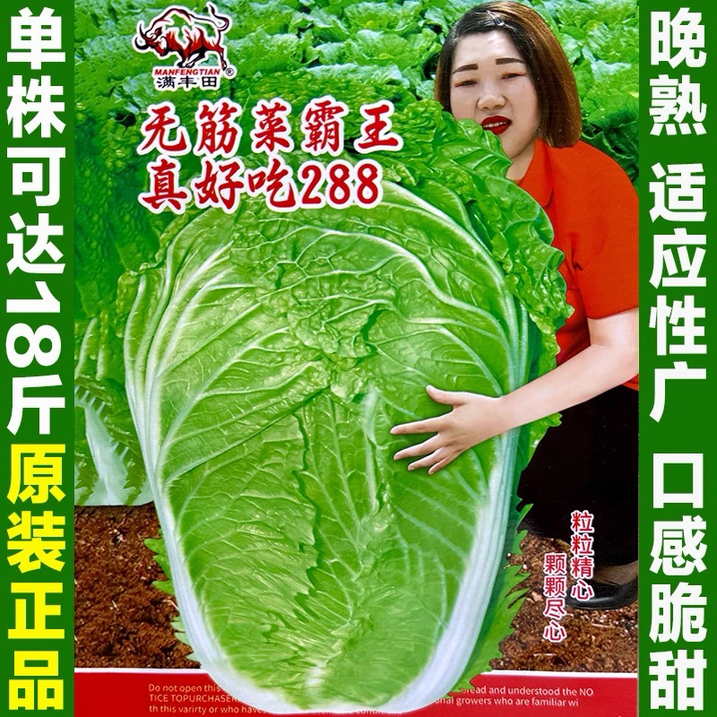 18斤无筋大白菜种子晚熟多叶特大高产抗病包心大白菜种籽蔬菜种子