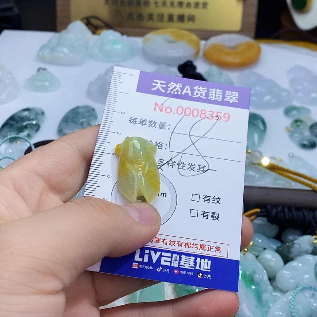 翡翠未镶嵌颈饰8359