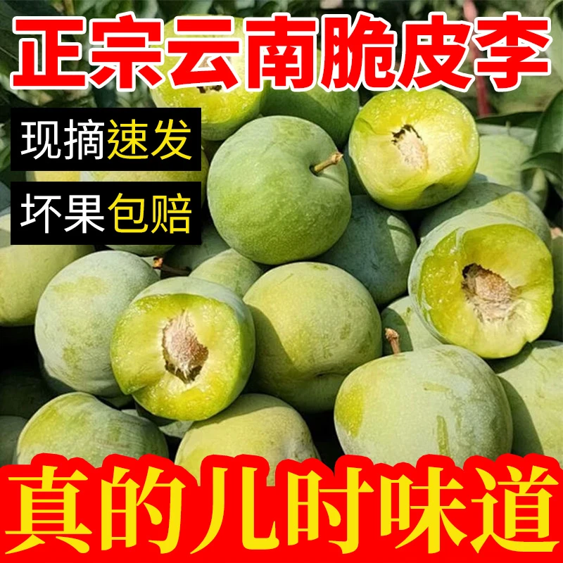 正宗云南古木青脆皮李新鲜当季现摘脆甜空心李子多汁水果脆清甜3