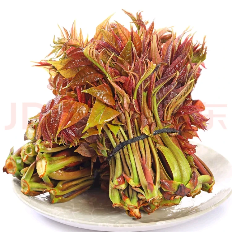 云南高山露天香椿芽