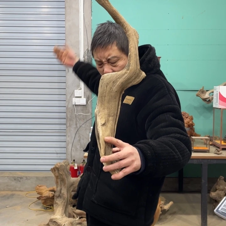 断*离我们都是好孩子呀