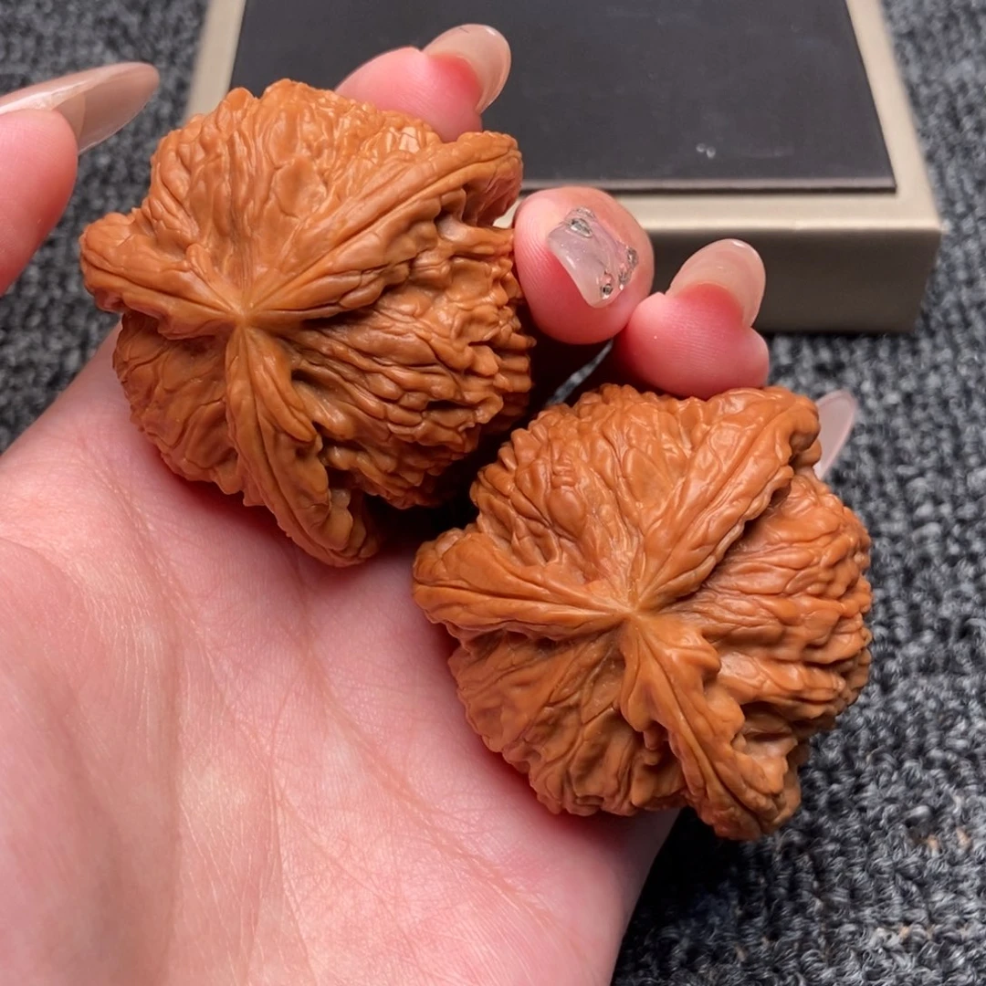****w木质类白狮子正奔
