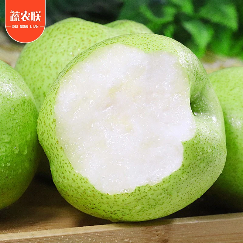 蔬农联 正宗青皮梨皇冠梨酥梨水果应季牛奶梨 皇冠梨水果3