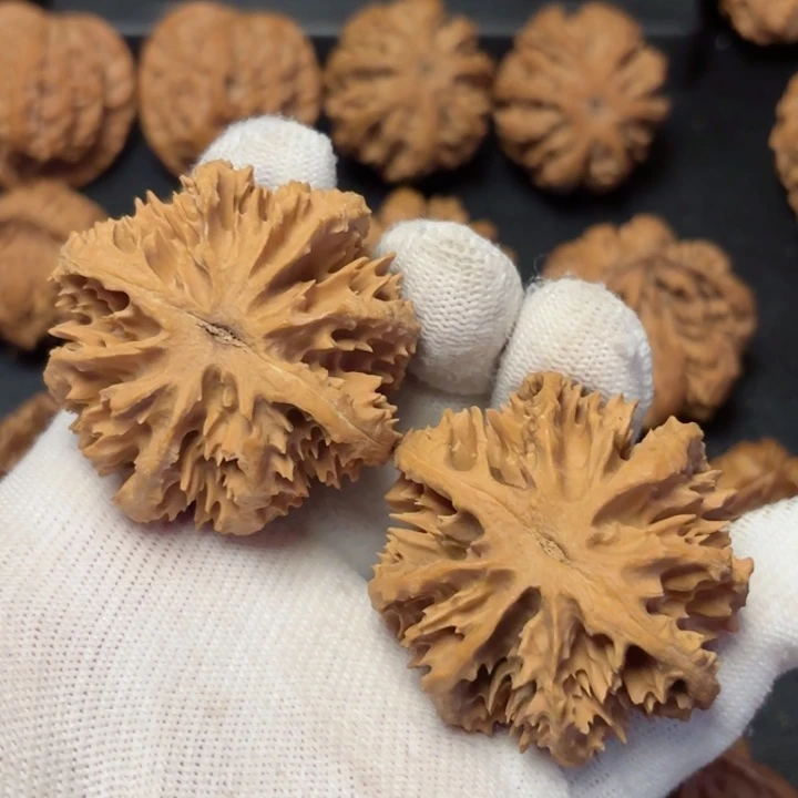 文玩核桃吊坠捡****?秦岭野生灯笼35