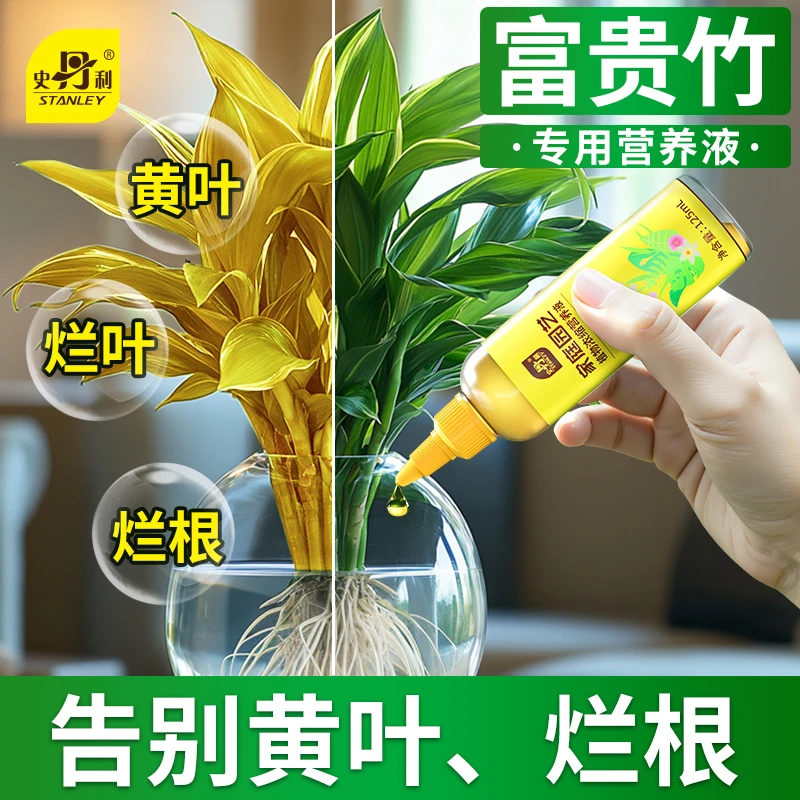史丹利富贵竹水培专用营养液治叶子发黄水养节节高通用型防黄叶