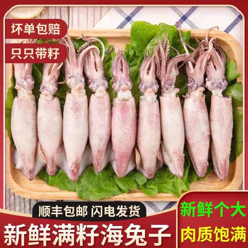 【顺丰包邮】本港精品野生海兔  个个带籽  籽乌