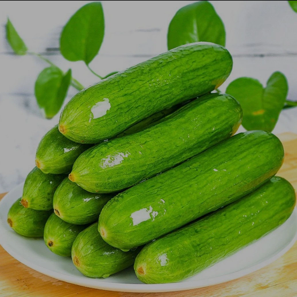 水果小黄瓜新鲜脆甜