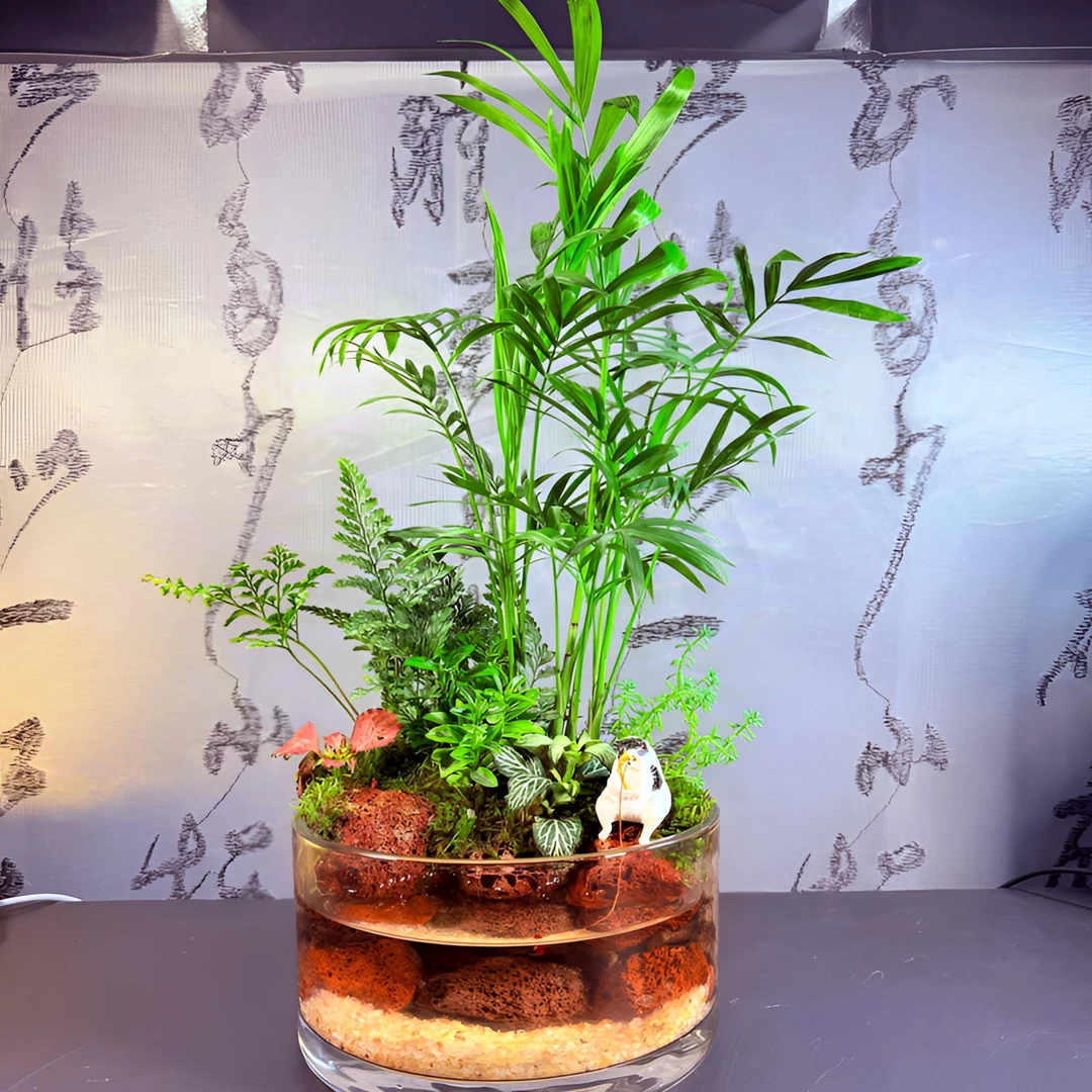 【绿屿谧境】袖珍椰子盆景+狼尾蕨+金边黄杨+网纹草+苔藓植物