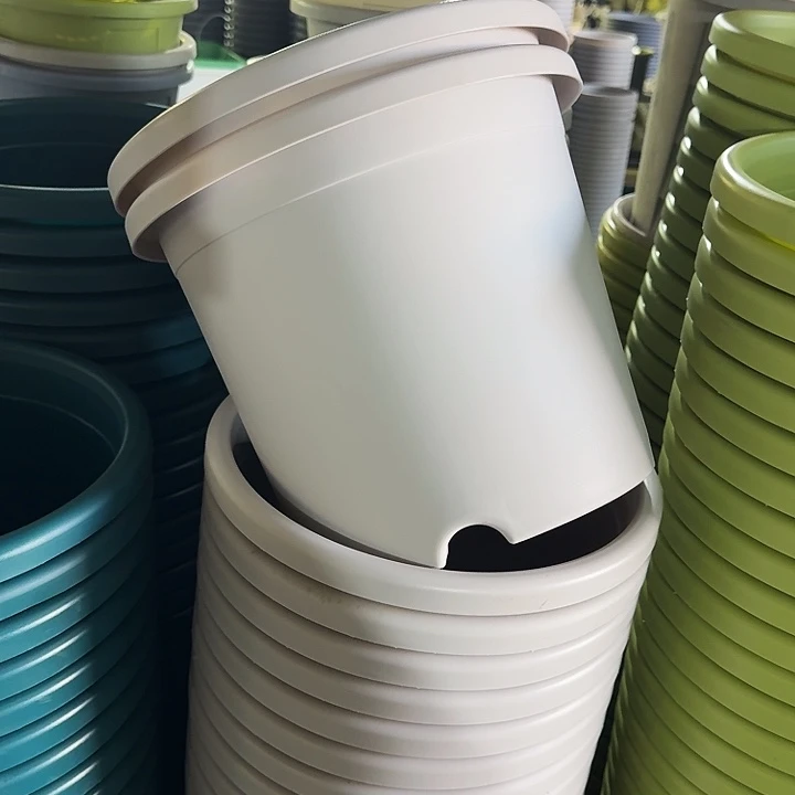 四季5#口径29灰白10个无托