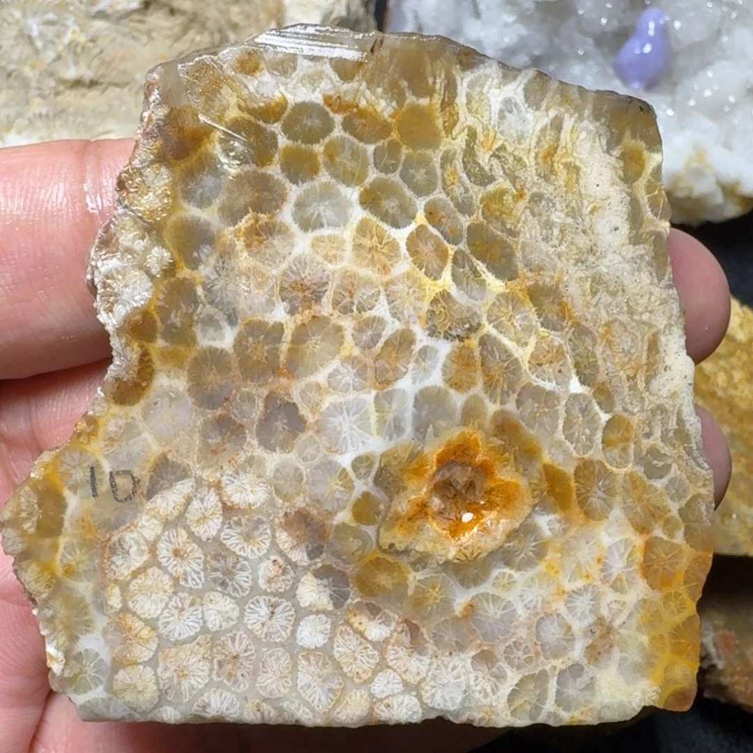硅化玉片料 未镶嵌