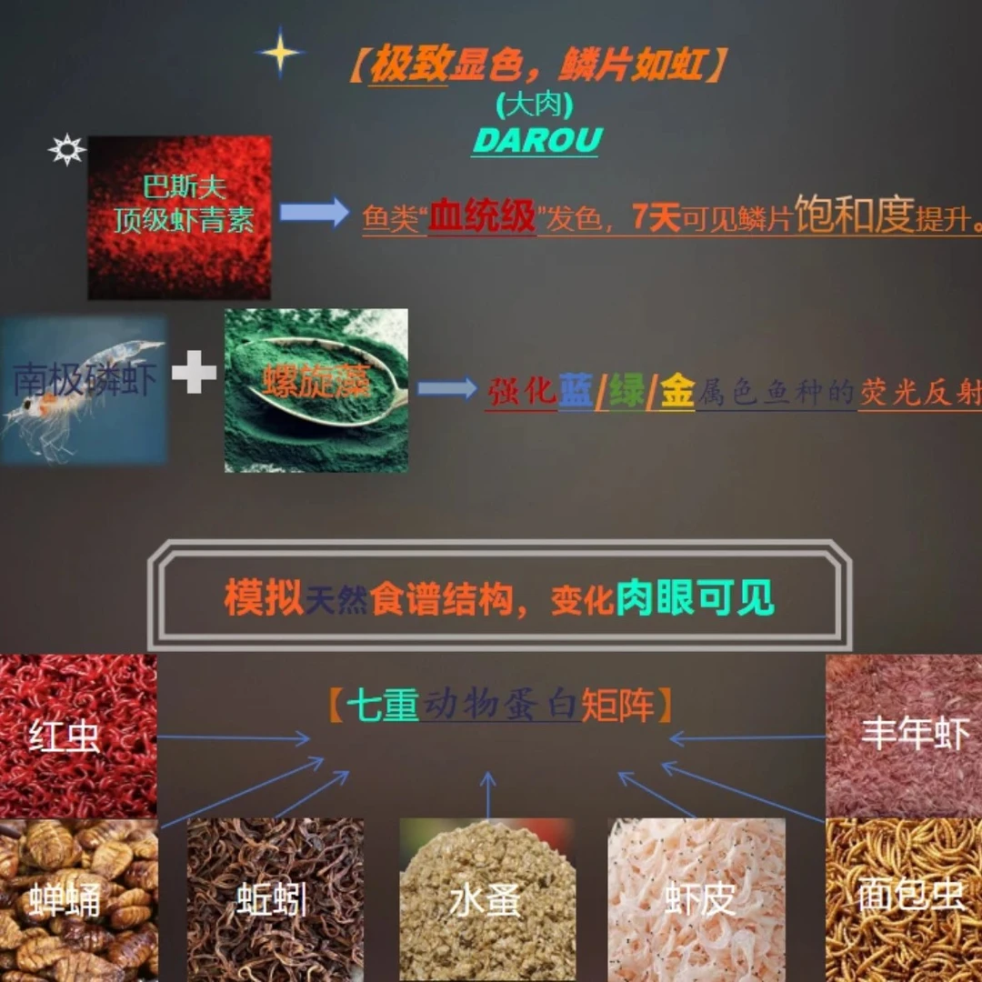 蝴蝶鲤罗汉鱼专用饲料高蛋白力增色饲料
