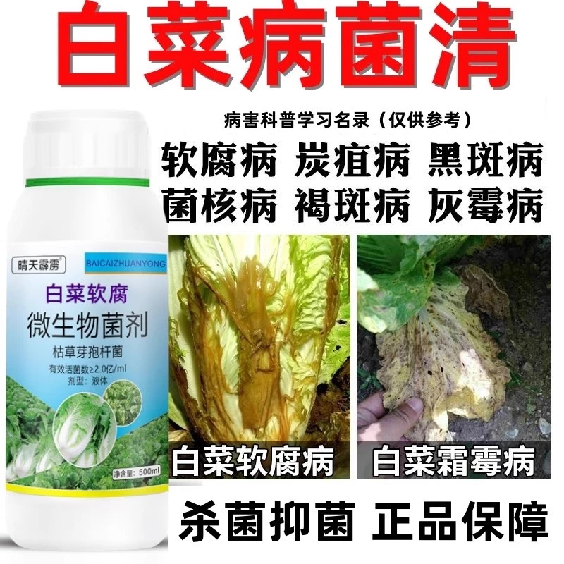 白菜病菌清白菜根腐病根肿病大白菜烂根黄叶腐烂软腐病灰霉叶面肥
