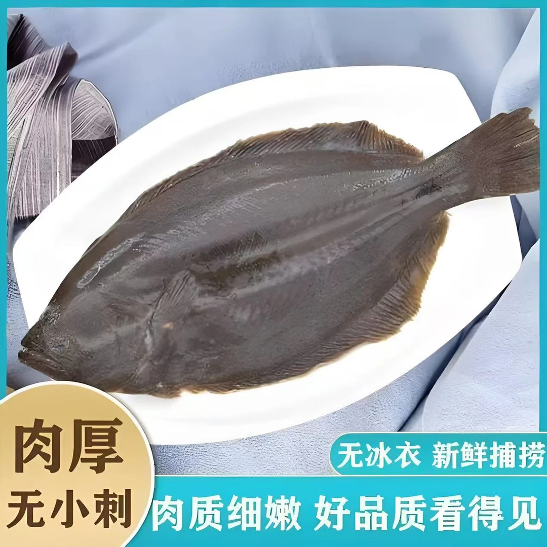 东港本地黄海石浆鱼野生海捕4斤顺丰包邮