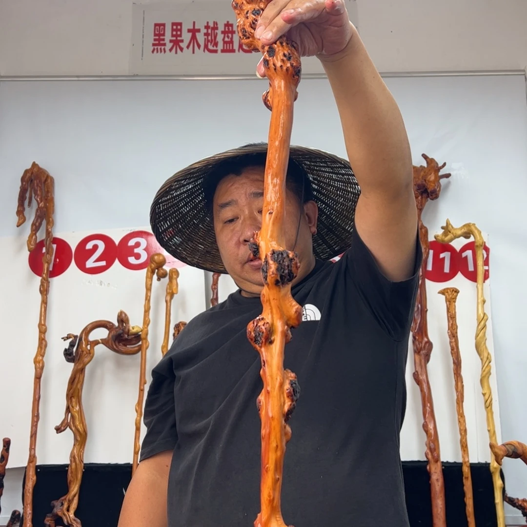 文****黑果木其他黑果木570