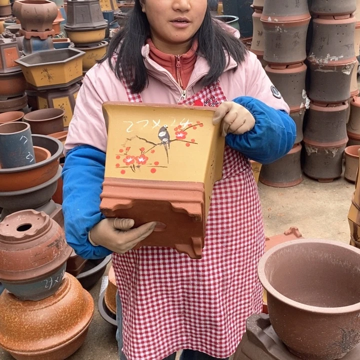 紫砂花盆盆栽花卉苗木种植