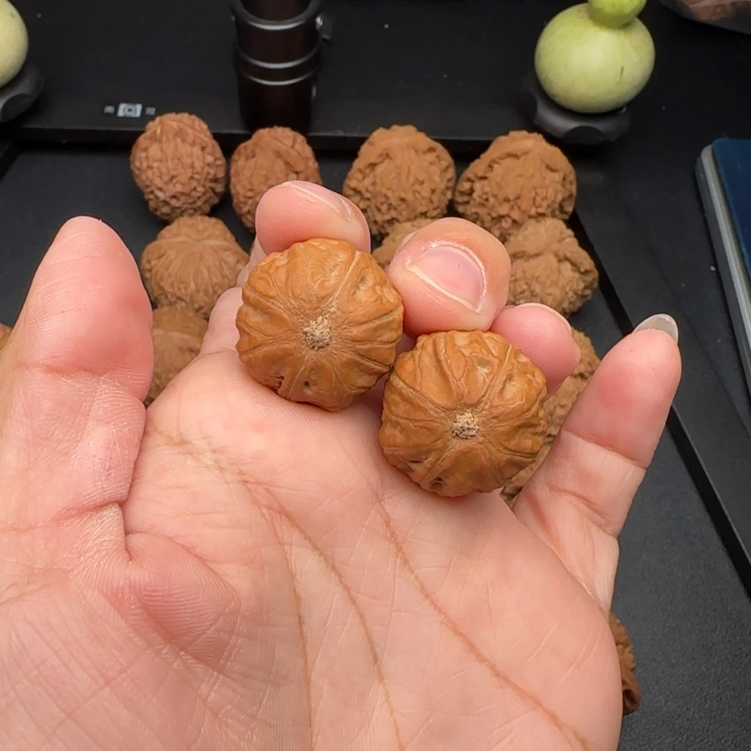 23尺小手捻文玩核桃