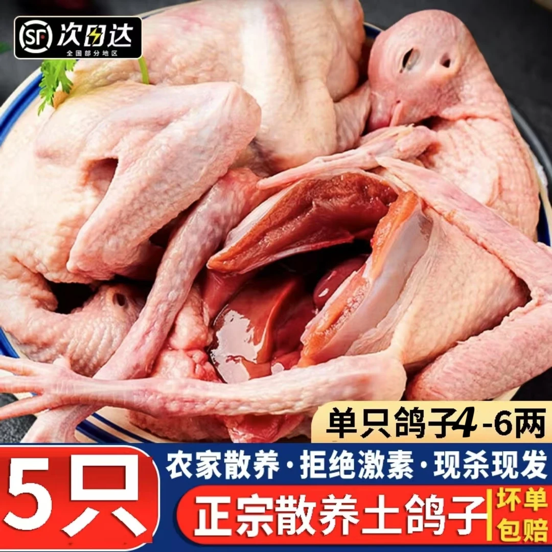 j【拍三送二】散养新鲜宰杀鸽子肉土鸽子4-6两/只 带内脏心肝C