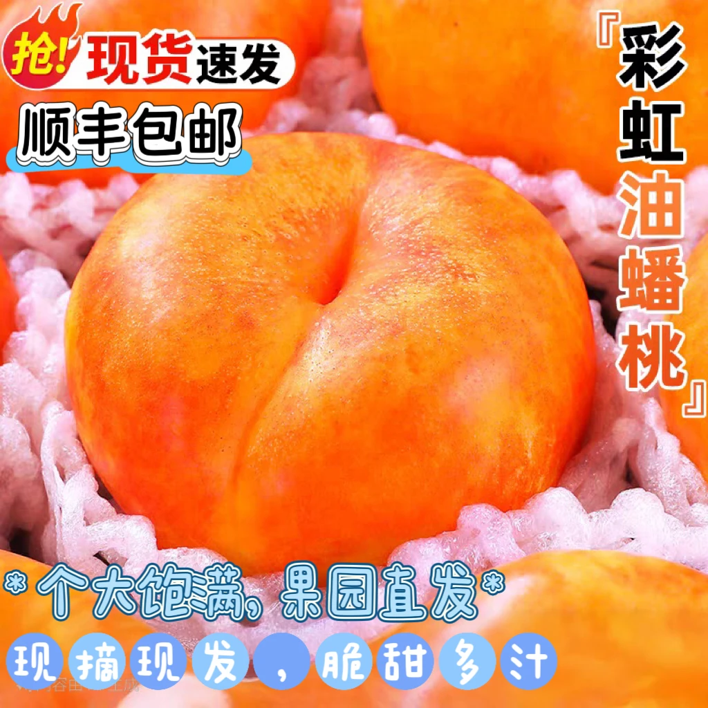 2025北方黄金油蟠桃新鲜现摘当季黄心油桃脆桃扁桃蟠桃油桃孕妇桃河北省