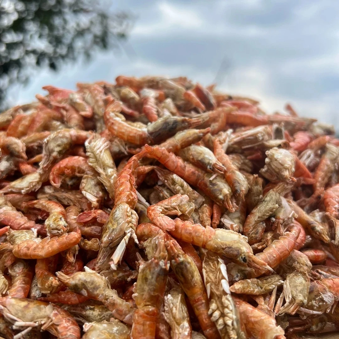 四川农家河沟打捞小河虾自然晒干咸香口味