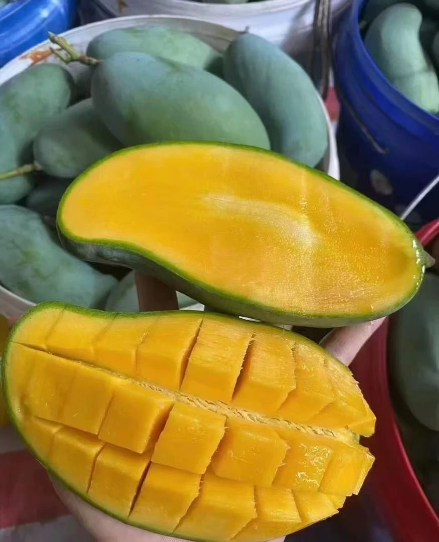 【正宗田东桂七】广西田东正宗桂七花皮桂七十斤香甜多汁现摘现发