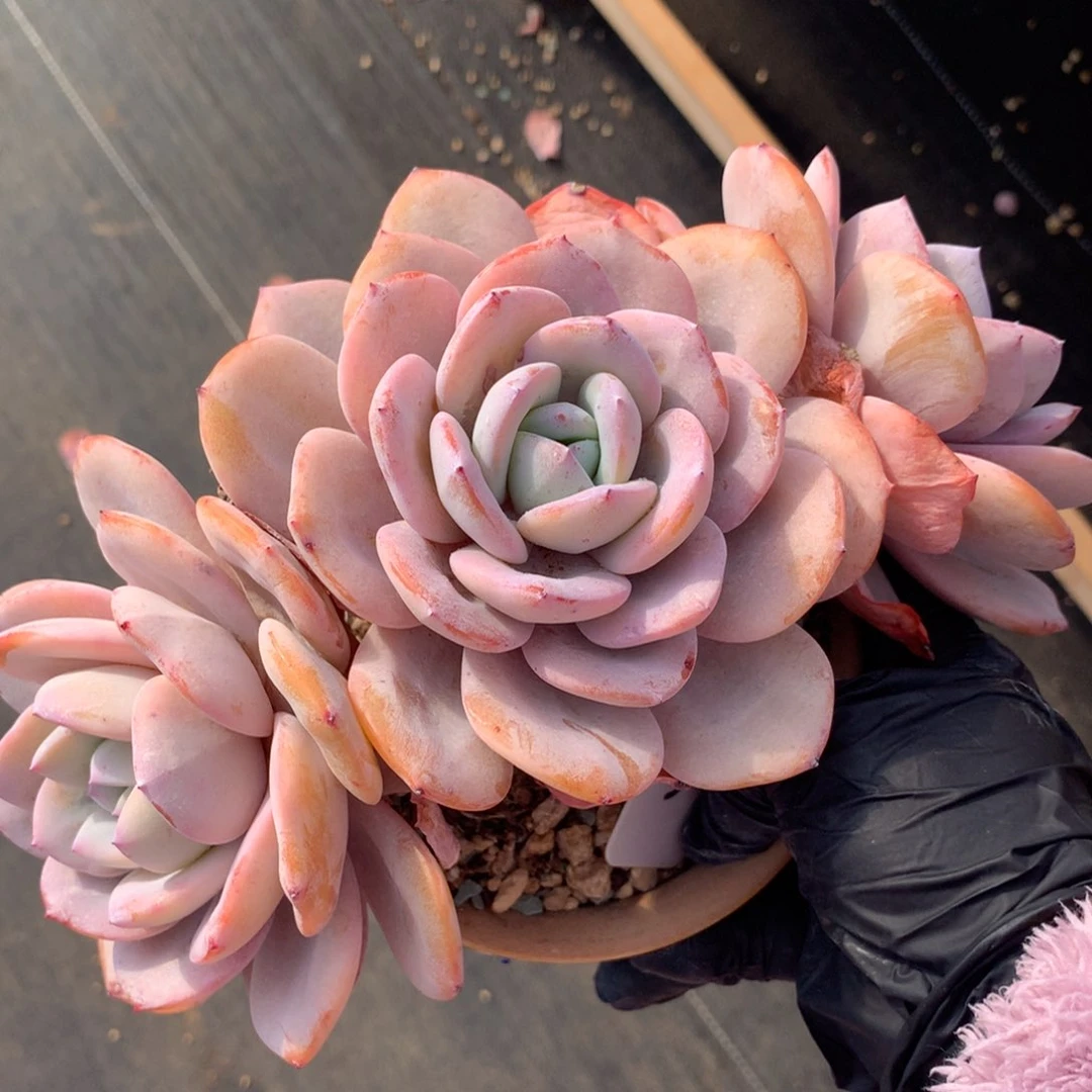 哈哈哈哈哈哈哈哈哈哈