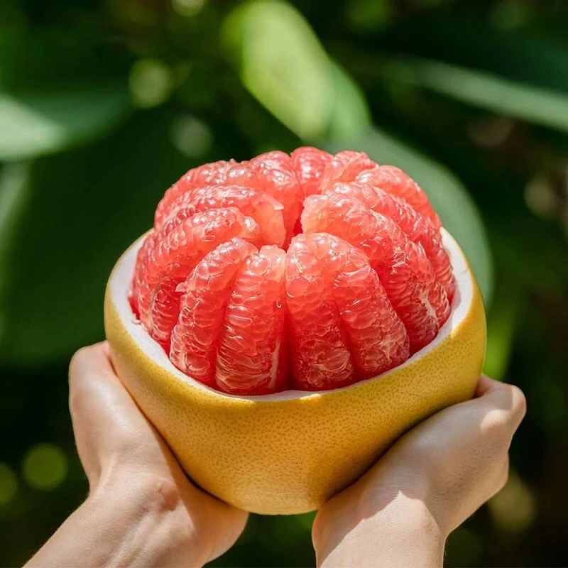 【5斤装】福建平和三红柚红心蜜柚当季新鲜水果皮薄肉厚爆汁孕妈妈