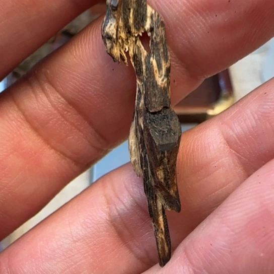 财****摆件沉香海南沉水树心油0.7克