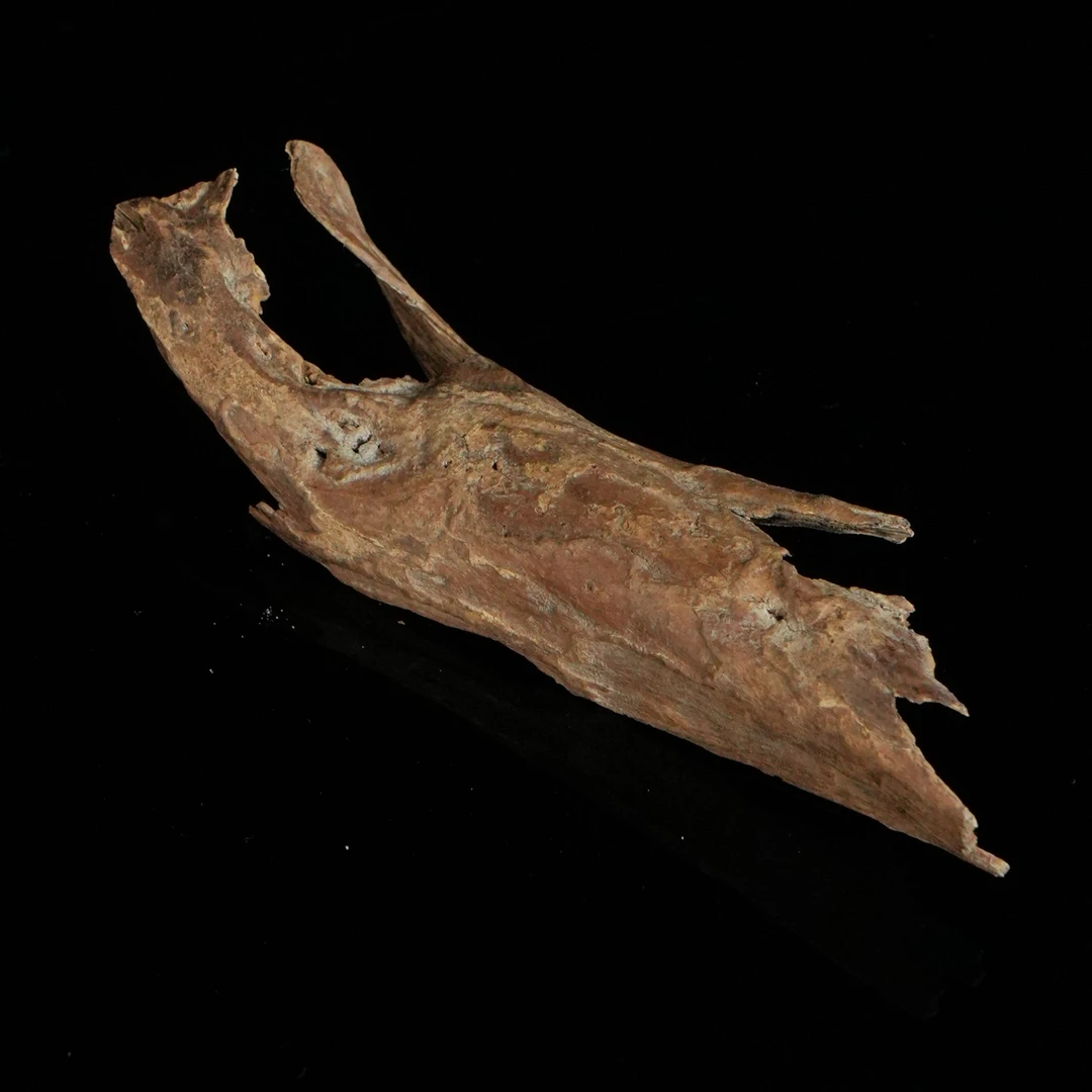 DY-C0421 越南芽庄棋皮香料 6.6g