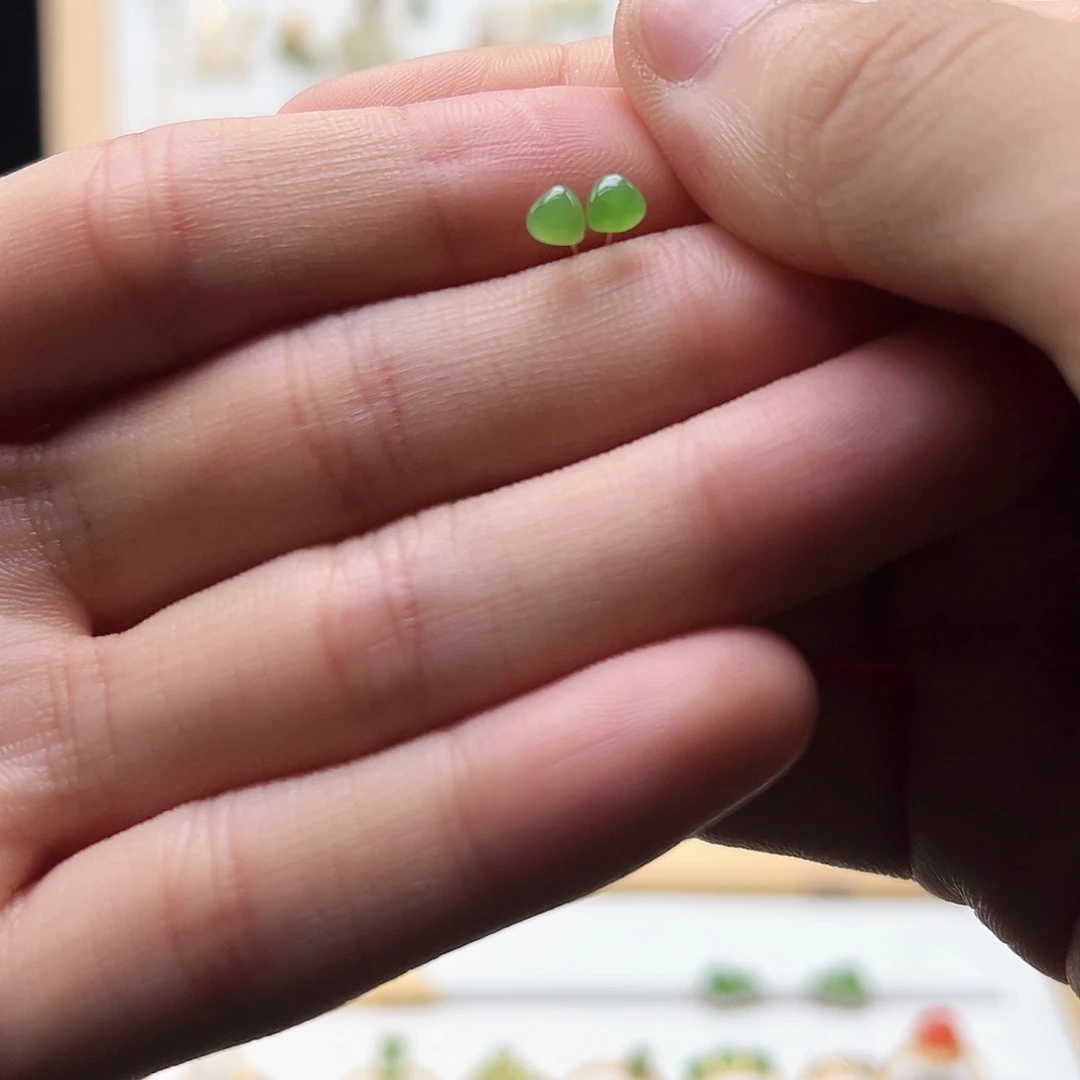 银S925镀金镶嵌和田玉耳饰