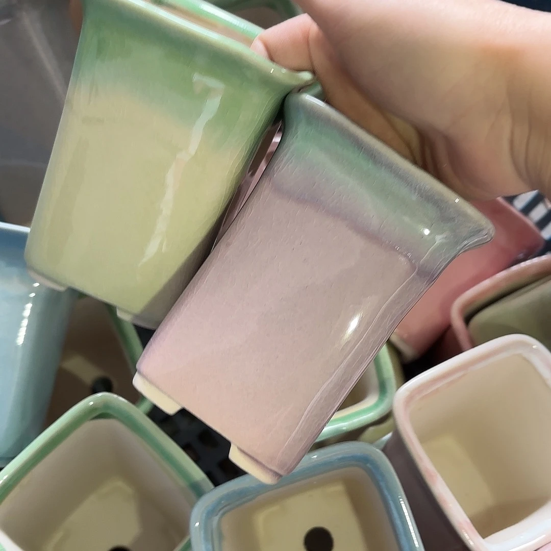 量货/7口高11深浅搭配发4