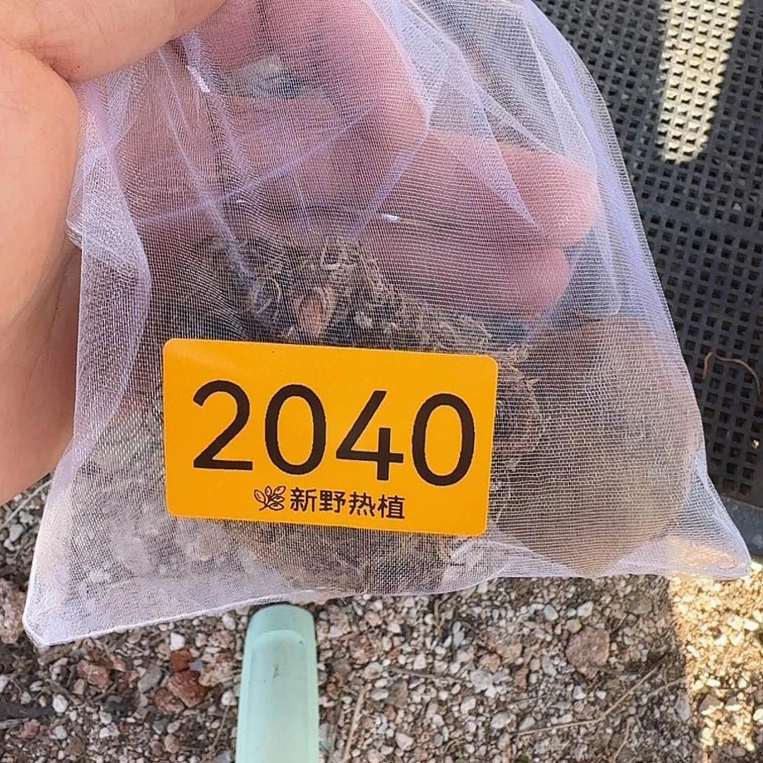 哇***哇完全开放2040米兰，芭蕾舞鞋裸球不售后
