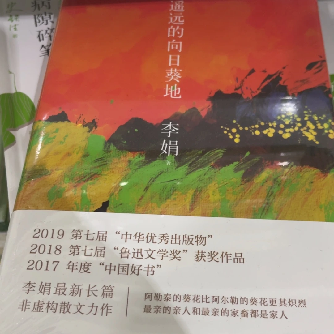 遥远的向日葵地精装