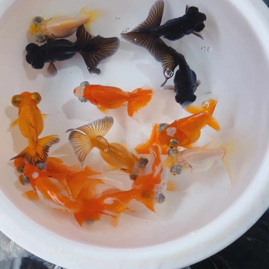 海水1111111111111111