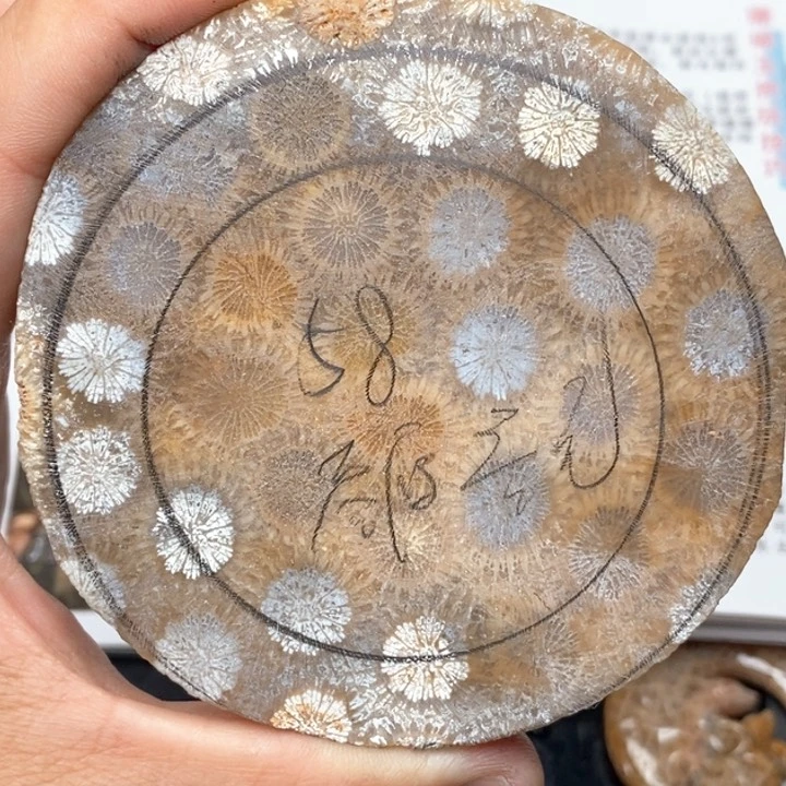 硅化珊瑚（珊瑚玉）手镯未镶嵌Q**Y