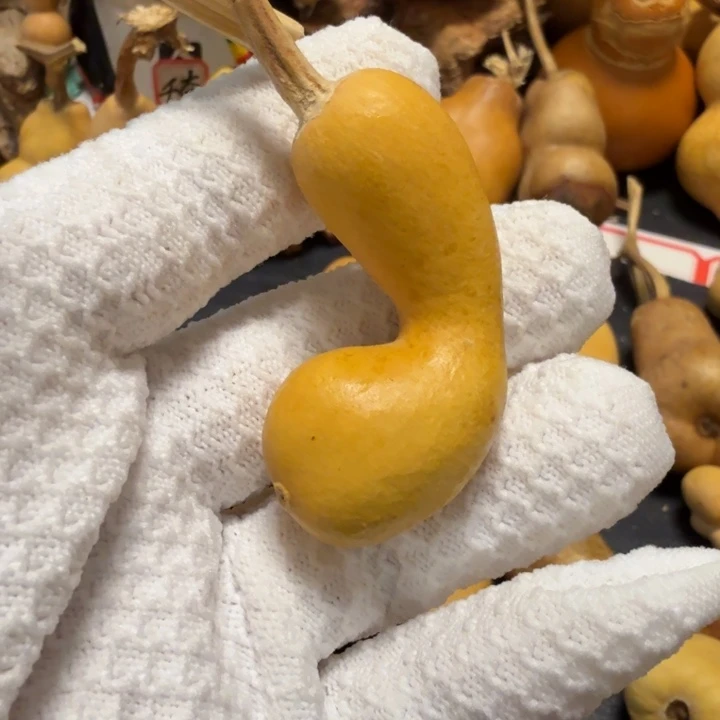 璞***緣6767778888889999888877