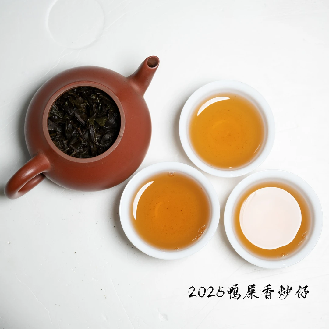 2025年世田头春鸭屎香炒仔茶 香气显带有淡淡的银花香 口感醇爽