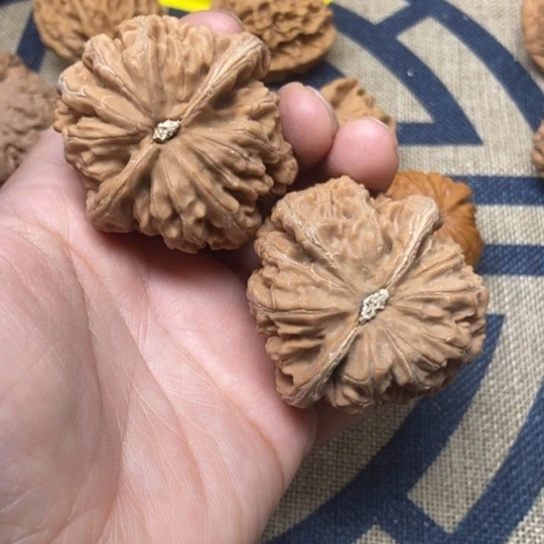 吊坠文玩核桃粗筋