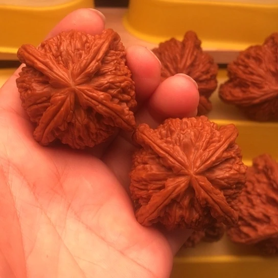 味***核桃核桃核桃核桃核桃