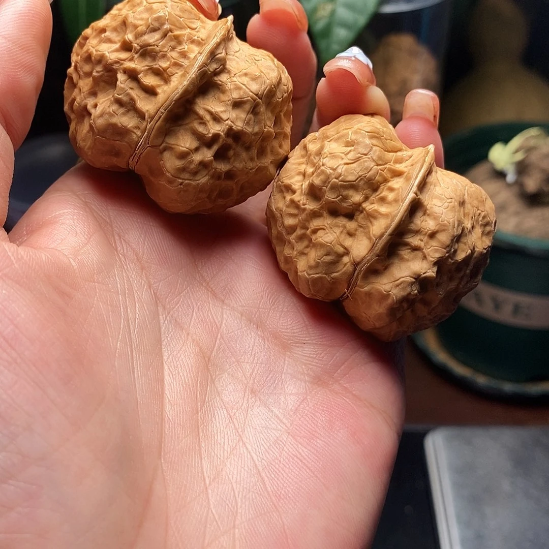 文玩核桃把件金元宝40mm