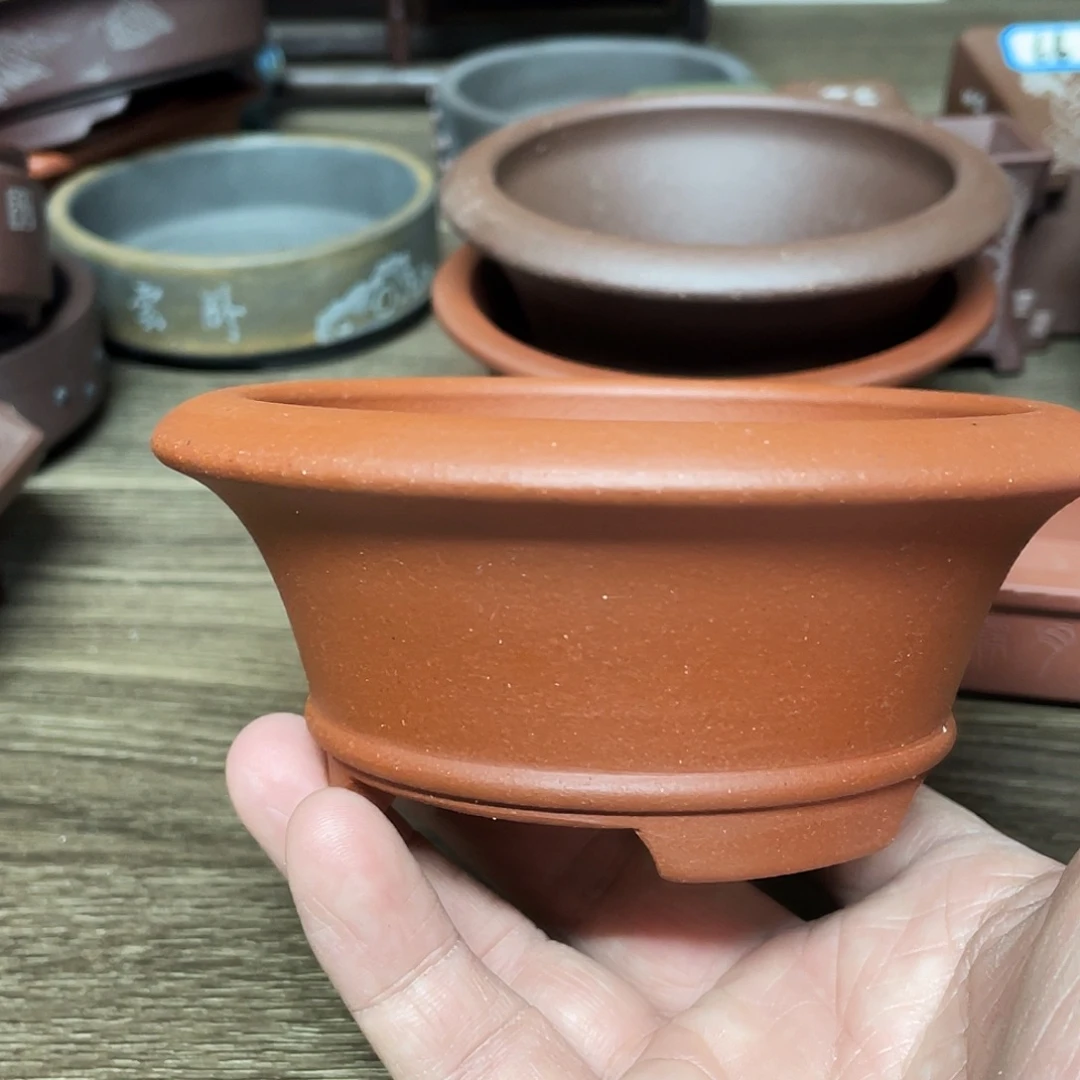 紫砂小盆9.5*4cmmmm
